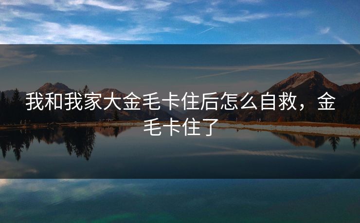 我和我家大金毛卡住后怎么自救，金毛卡住了