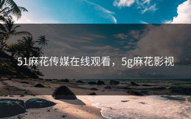 51麻花传媒在线观看，5g麻花影视
