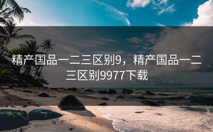精产国品一二三区别9，精产国品一二三区别9977下载