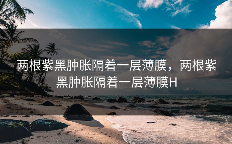 两根紫黑肿胀隔着一层薄膜，两根紫黑肿胀隔着一层薄膜H