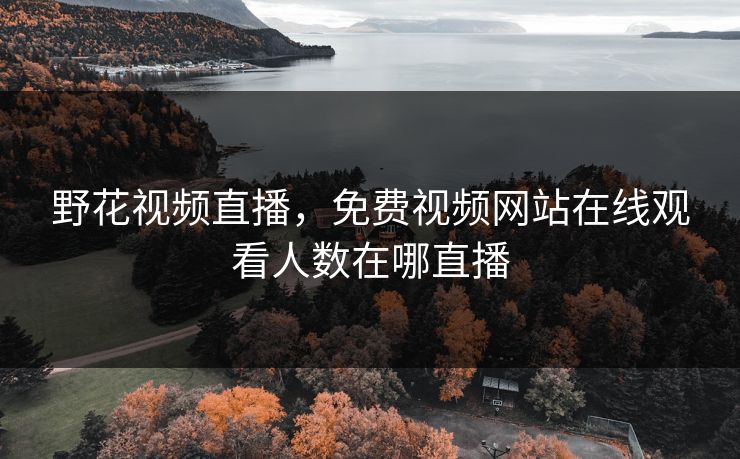 野花视频直播，免费视频网站在线观看人数在哪直播