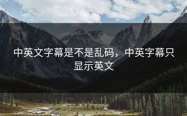 中英文字幕是不是乱码，中英字幕只显示英文