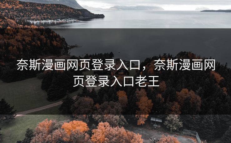 奈斯漫画网页登录入口，奈斯漫画网页登录入口老王