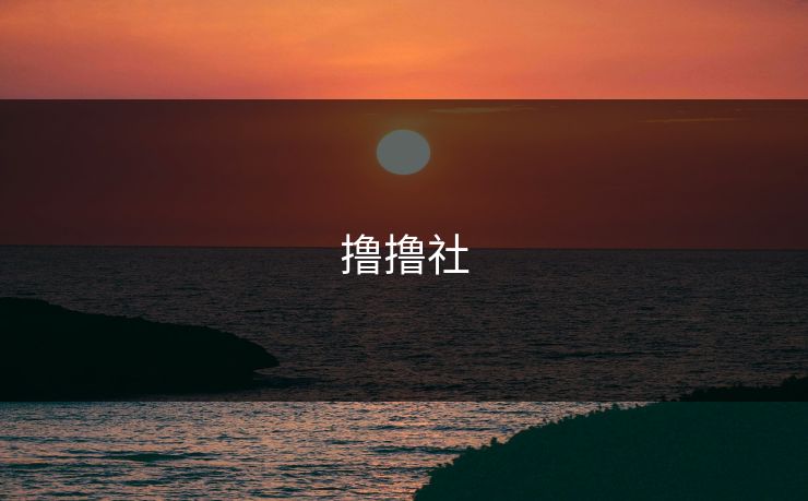 撸撸社