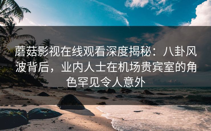 蘑菇影视在线观看深度揭秘：八卦风波背后，业内人士在机场贵宾室的角色罕见令人意外