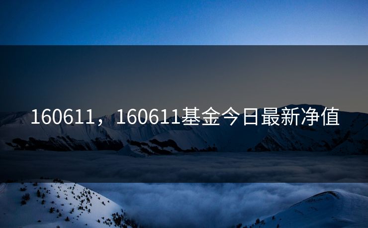 160611，160611基金今日最新净值