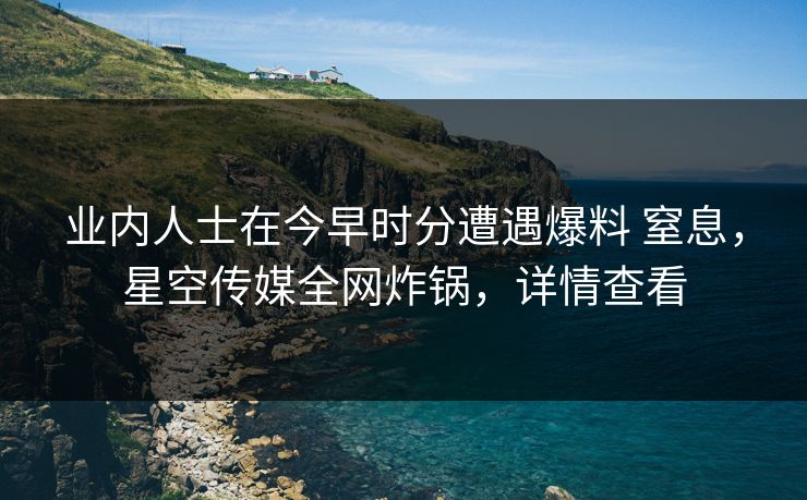 业内人士在今早时分遭遇爆料 窒息，星空传媒全网炸锅，详情查看