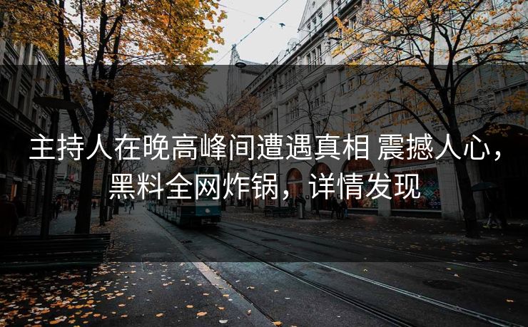 主持人在晚高峰间遭遇真相 震撼人心，黑料全网炸锅，详情发现