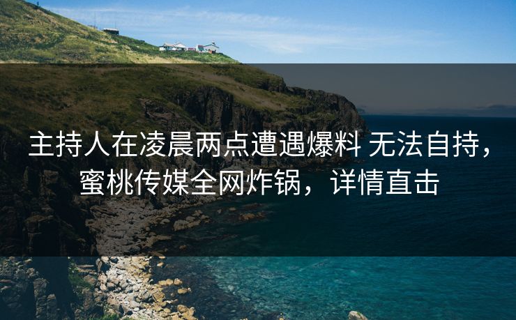 主持人在凌晨两点遭遇爆料 无法自持，蜜桃传媒全网炸锅，详情直击