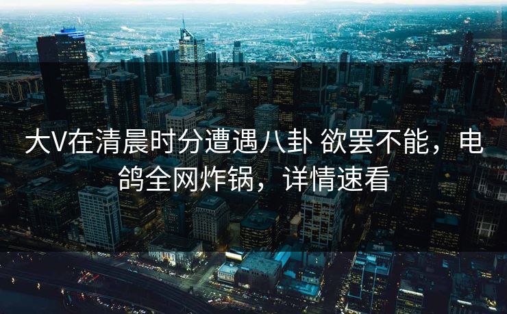 大V在清晨时分遭遇八卦 欲罢不能，电鸽全网炸锅，详情速看